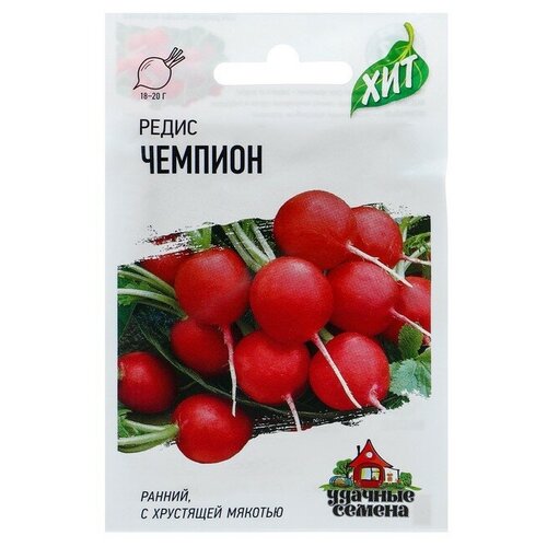 ���� ������ ����� 