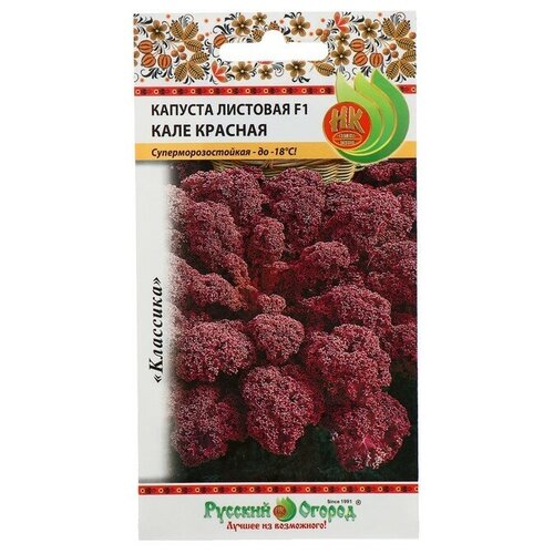 ���� ������ ������� �������� ���� ������� F1 50�� ������� (������� ������), ������ �� 42 ���