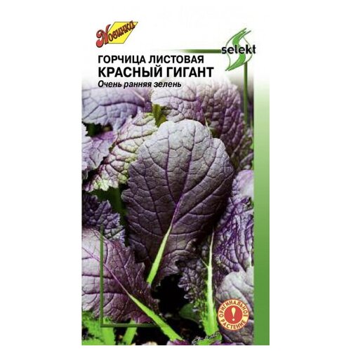 ���� ������� �������� ������� ������, 200 �����, ������ �� 235 ���