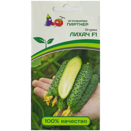 ���� ������ ������ 