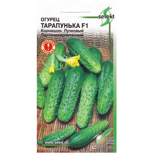 ���� ������ ���������� F1, 6 �����, ������ �� 257 ���