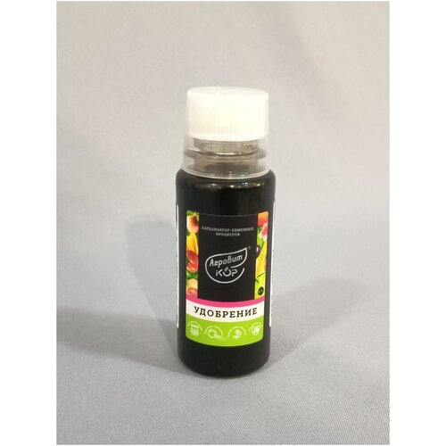 ���� ��������� �������-���, ����� �, ������, 100 �� ������, ������ �� 530 ���