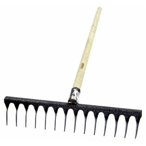 ���� ������ �����, 14 ������, � ��������, ������ �� 517 ���