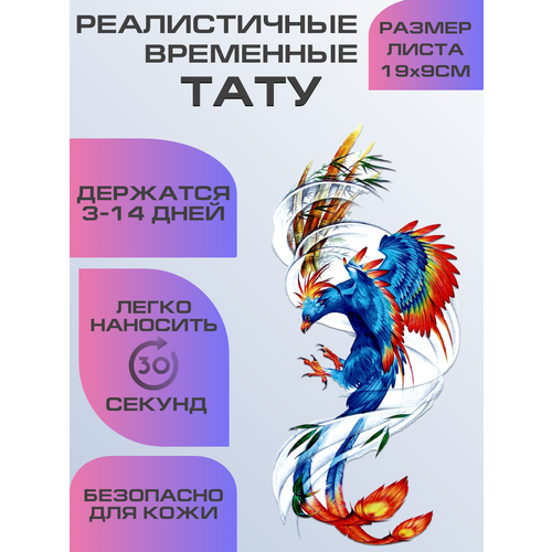 ���� ���� ���������� ��������������, ��������� ����, ������ �� 375 ���