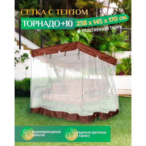   -     +10 (238145170 ) ,   4502 