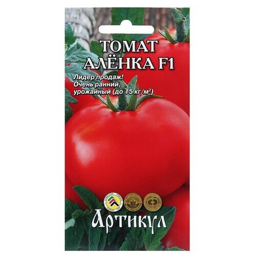 ���� ������ ����� 