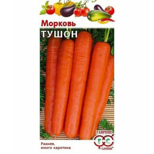 ���� ������ ������� ����� 2� ������ (������) ����� �����, ������ �� 29 ���