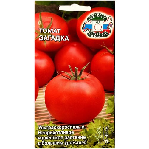 ���� ����� �������, ������ �� 39 ���