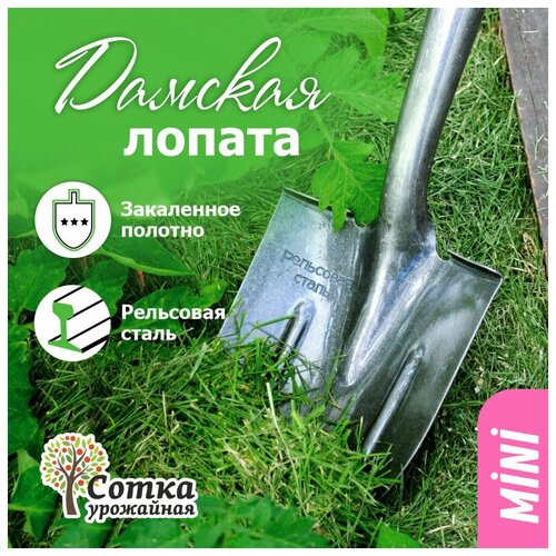 ���� ������ ������� `��������� �����` ��������, ��������� �����, � ������� ��������� ��� �������, �������, ������ �� 408 ���