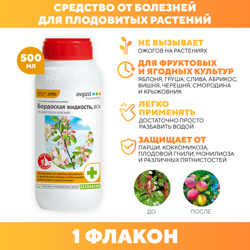 ���� ��������� �������� ��� ������� �������� �� ��������, Avgust 500 �� 1 ��, ������ �� 549 ���