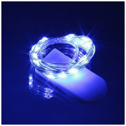 ���� �������� 