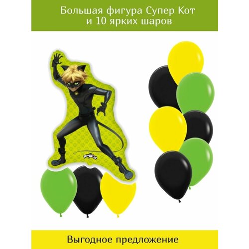 ���� ��������� ������ ����� ���, ����� 11 ��, ������ �� 450 ���