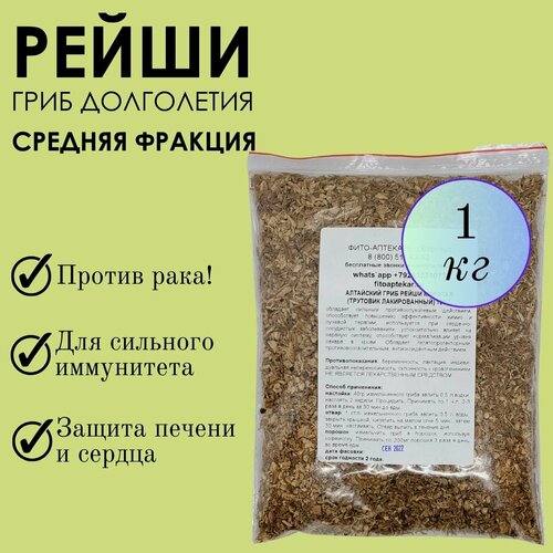 ���� ���� ����� 