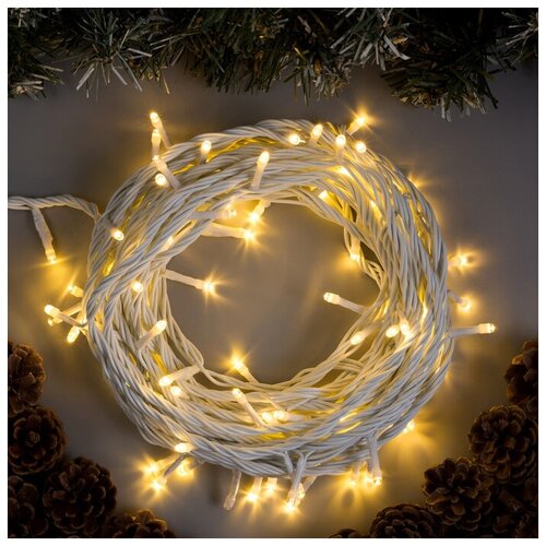 ���� �������� 