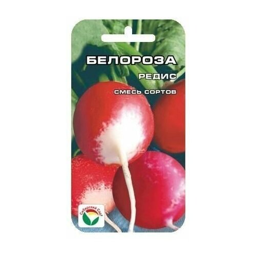 ���� �������� ����� 2�� ����� (��� ���), ������ �� 42 ���