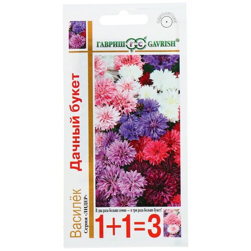 ���� ������ ������ ������� 1+1 