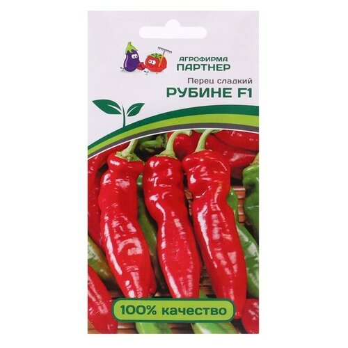 ���� ������ ����� 