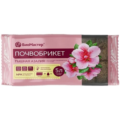 ���� ����������� ��������� ������ ������ 5 �, ������ �� 335 ���