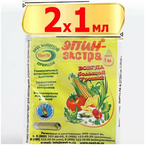 ���� ����-������, ������ �� 250 ���