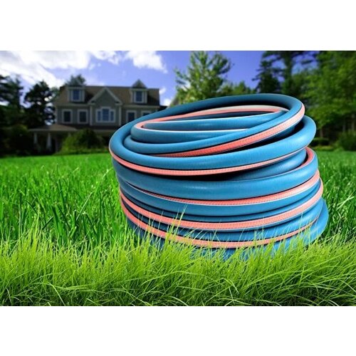 ���� ����������� ����� ��� ������ (���) 