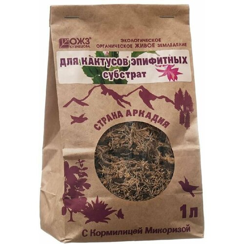 ���� �������� � ���������� ��� ����������� �������� 