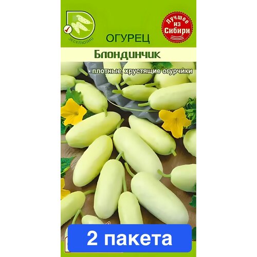 ���� ������ ������ ������ ����� 