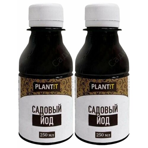 ���� ��� ������� �� ����������� �� �������, ���, ���� 