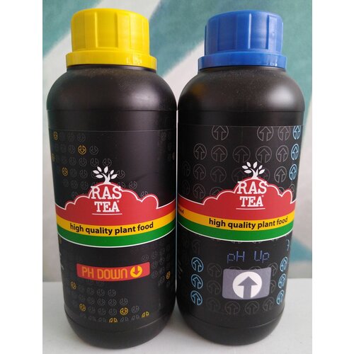  RasTea.  Ph  (up&down) 1 .,   2000 