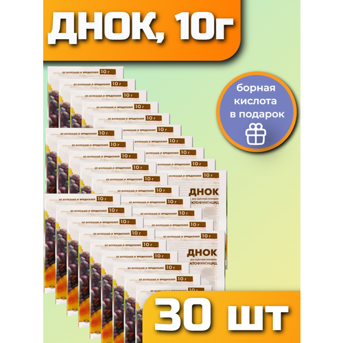 ���� ���� 10 � �������� ��� ���� �������� ��������. ���������������. 30 �����, ������ �� 990 ���