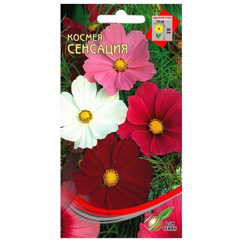 ���� ������ ��������, 45 �����, ������ �� 246 ���