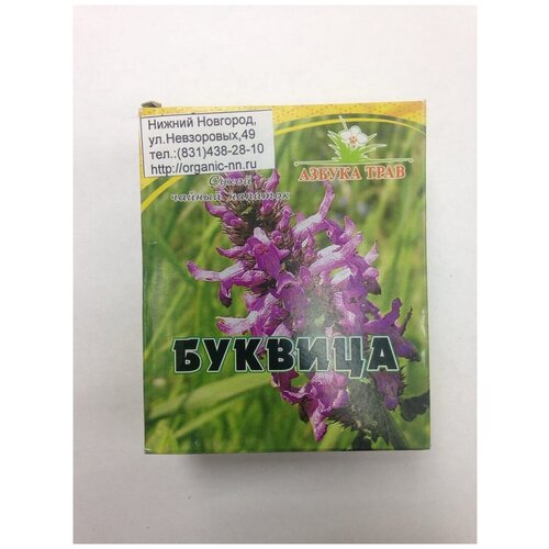 ���� ������� �������������, ����� 1,5��*20 ������-������� ������ ���� (Betonica officinalis L.), ������ �� 315 ���
