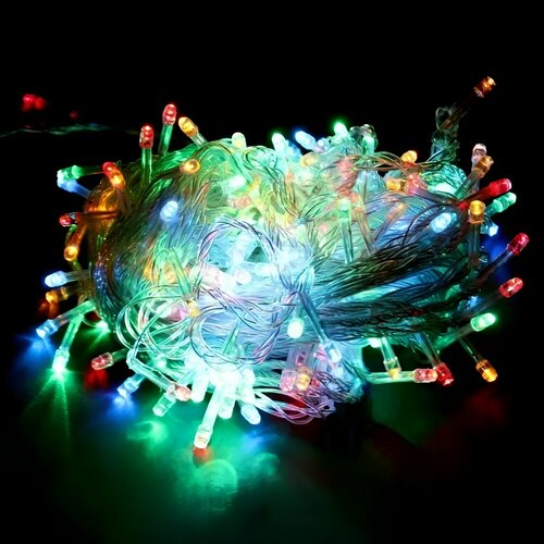 ���� �������� ������������ 28 ������ ����� ��� 2025 ��� ������ ��������� ���� �� ���� ���������� ������ ����: �������, ������ �� 590 ���