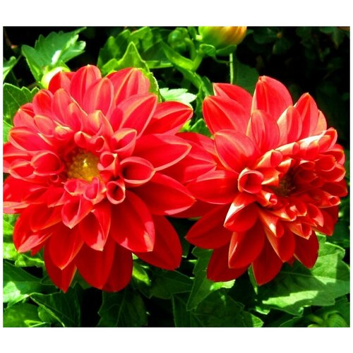   , ,      , ,     , 8 ,   280 