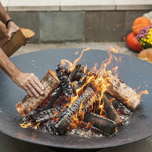 ���� ��������� ���� ����� 