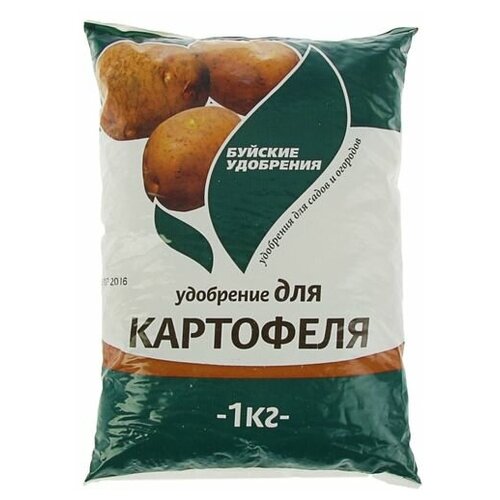 ���� ��������� ����������� 