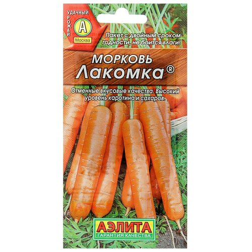 ���� ������ ������� 