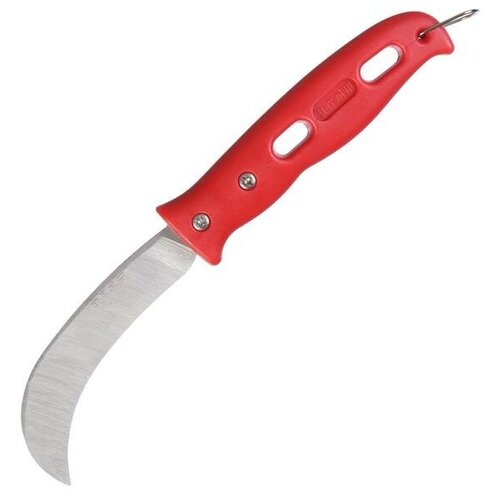 ���� ��� ������� � ����������� ������ 21 �� 5245650, ������ �� 305 ���