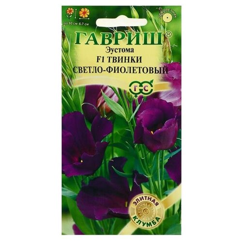 ���� ������ ������ ������ ������� 