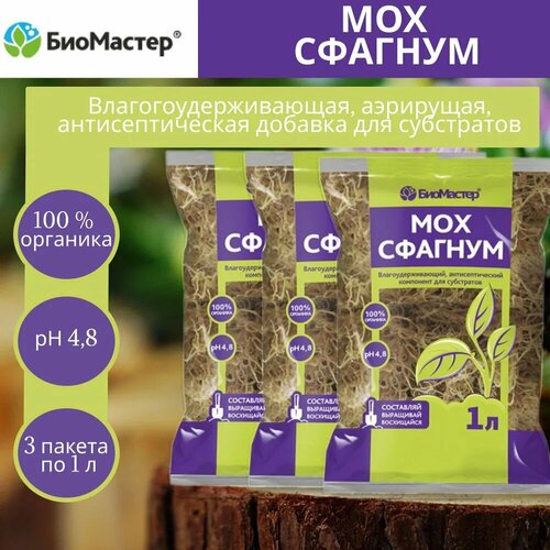 ���� �������� ��� �������, 3 ������ �� 1 �, ������ �� 450 ���