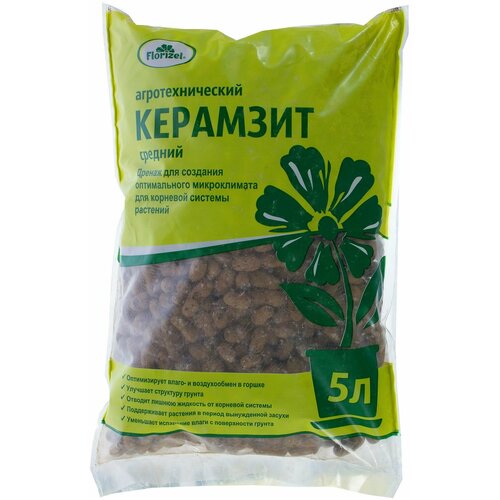 ���� �������� Florizel 5 �, ������ �� 399 ���