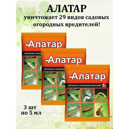 ���� �������� �� ������� ���������� ������ 3 �� �� 5 ��, ������ �� 169 ���