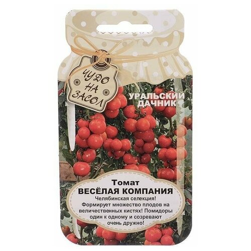 ���� ������ ����� 