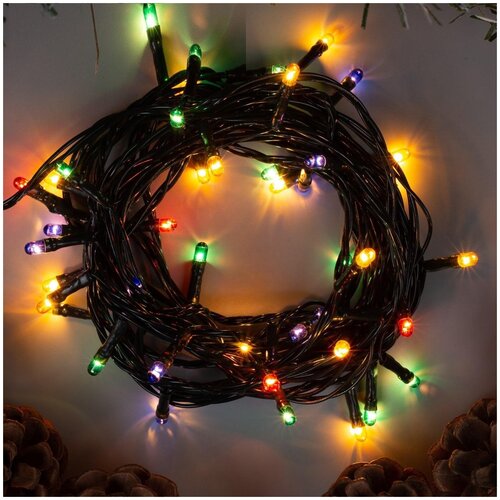 ���� ������������ ���������� �������� �� ���� �� ���� / ������������/ ������� ��������������� ���� ����������� 11 �, ������ �� 650 ���