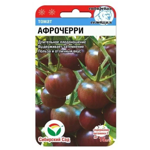 ���� ����� ����-����� (20��) ��������� ���, ������ �� 49 ���