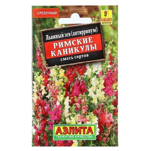 ���� ������ ������ ������� ��� ������� ��������, ����� ������, 0,1 �, ������ �� 33 ���