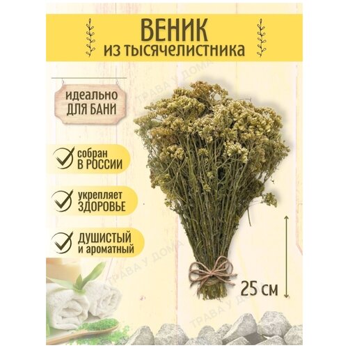 ���� ������ ��� ���� �� �������������� 1 ��, ������ �� 270 ���