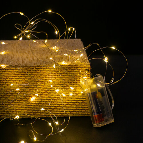 ���� �������� 