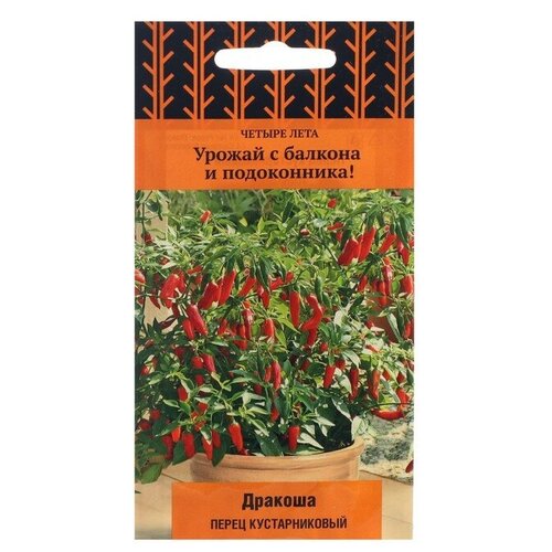 ���� ������ ����� ������������� 