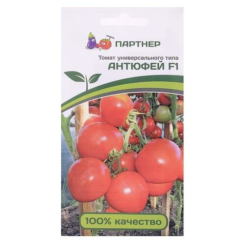 ���� ������ ����� ������� F1 0.1 �� �������, ������ �� 213 ���