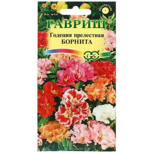 ���� ������ ������ ������� 